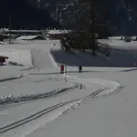 Foidl